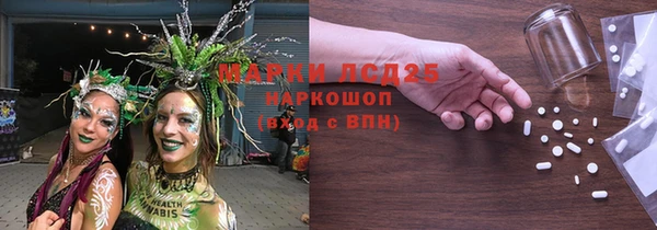 гашик Коряжма