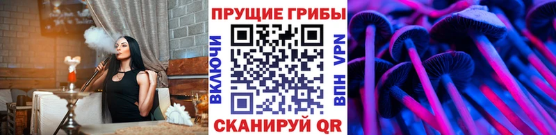 Псилоцибиновые грибы прущие грибы  цены   блэк спрут как зайти  Кызыл 